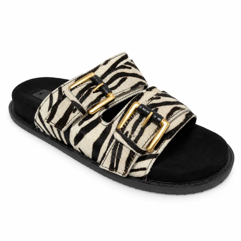 Papete Santa Lolla, Zebra